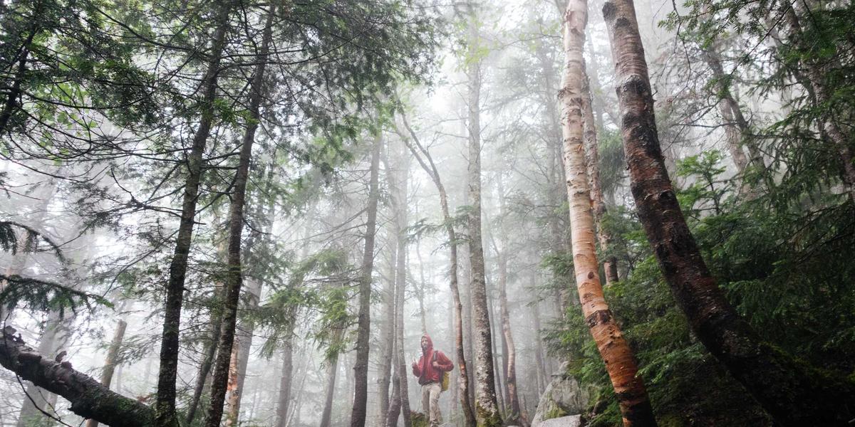 Why Writers Use Death as a Character in Their Stories